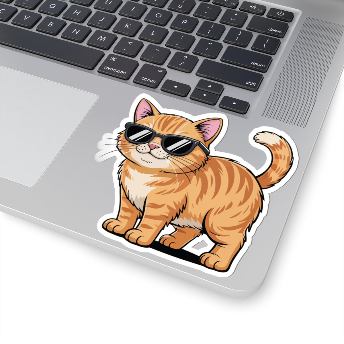 TEEZOCA cool cat wearing sunglasses cartoon sticker