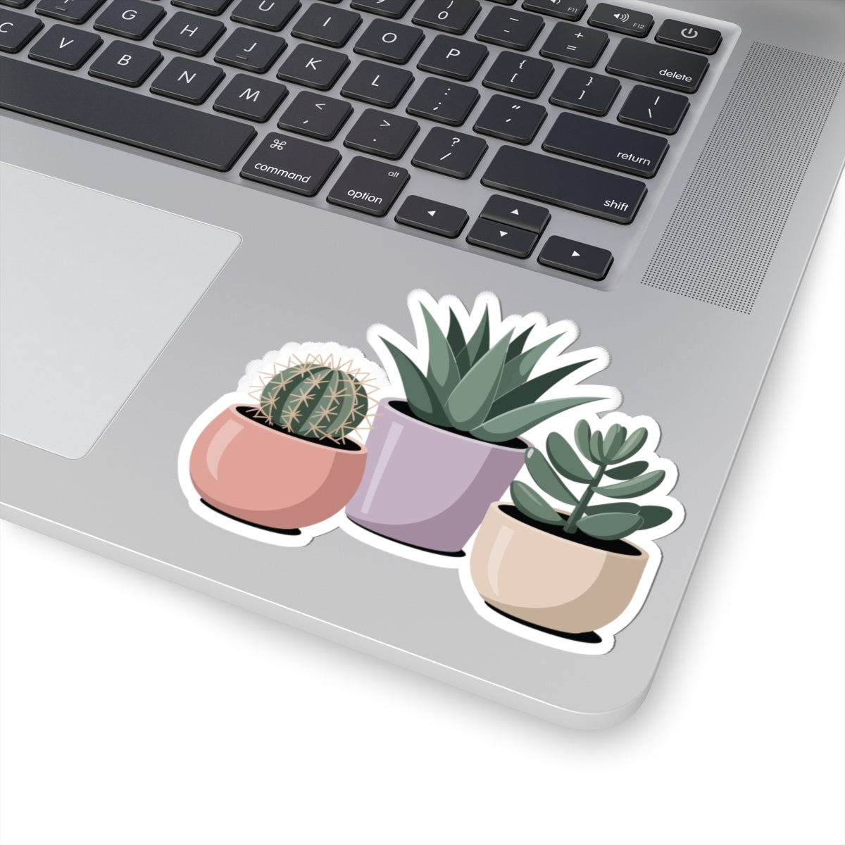 TEEZOCA potted succulent plants sticker with minimalist pastel pots