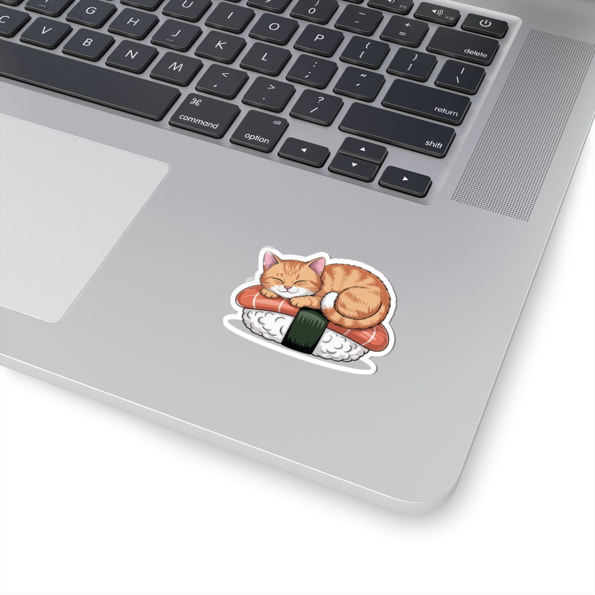 TEEZOCA kawaii sushi cat sticker orange cat resting on sushi