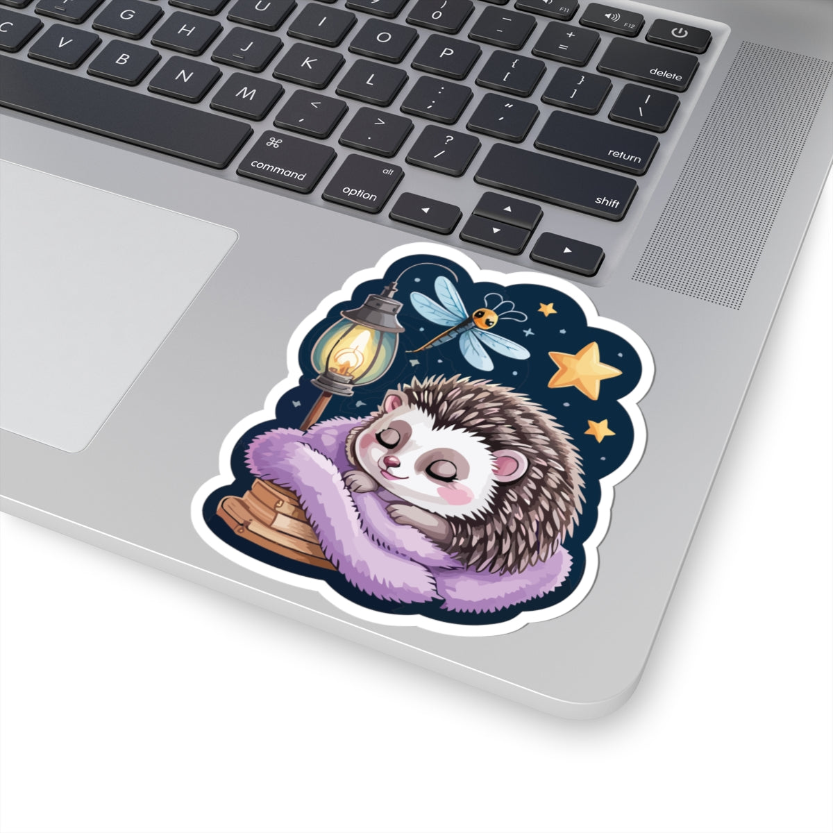 TEEZOCA cute sleeping hedgehog sticker with cozy night scene and lantern
