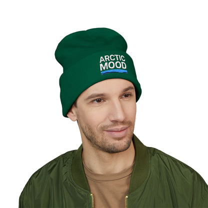 Man wearing a green 'Arctic Mood' beanie on a white background