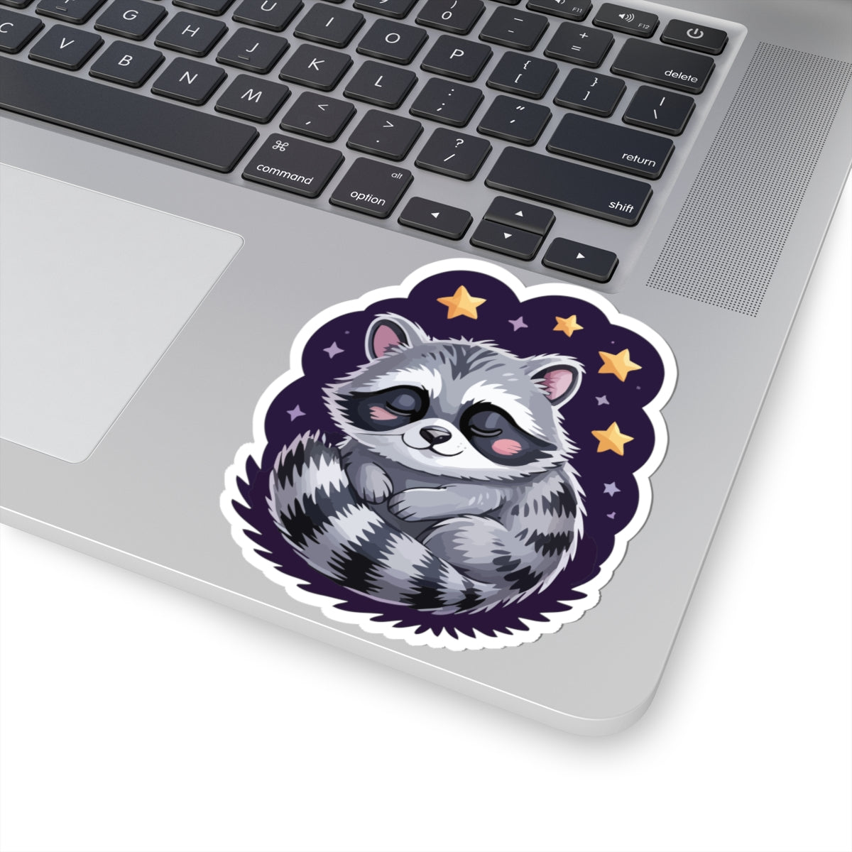 TEEZOCA cute sleeping raccoon sticker with cozy night stars