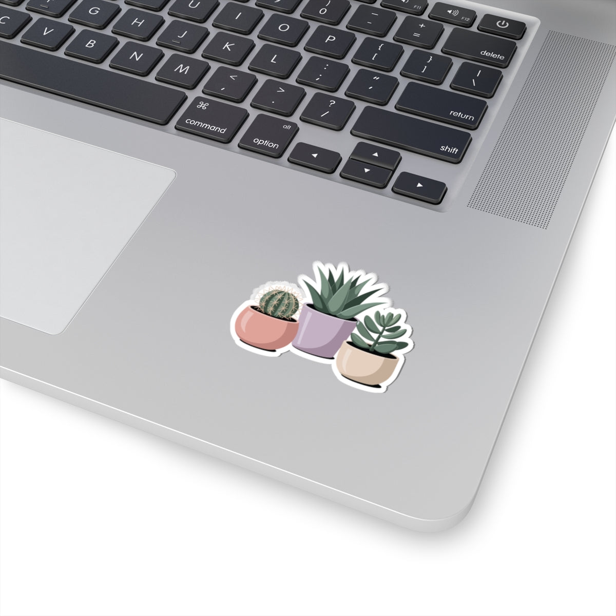 TEEZOCA houseplant sticker featuring cactus and succulent illustrations