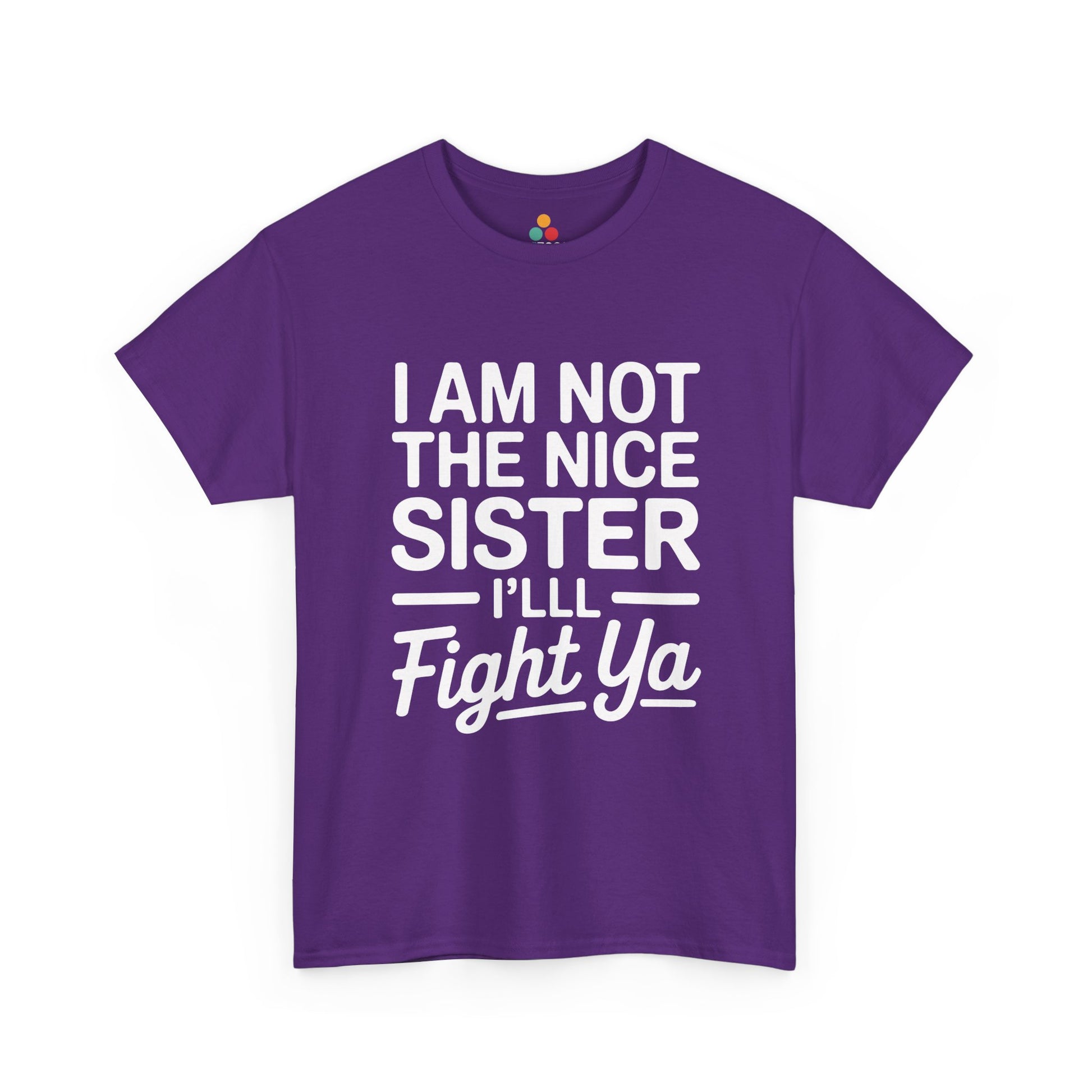 I Am Not The Nice Sister I'll Fight Ya T-Shirt – Funny Sarcastic Sibling Gift | TEEZOCA 