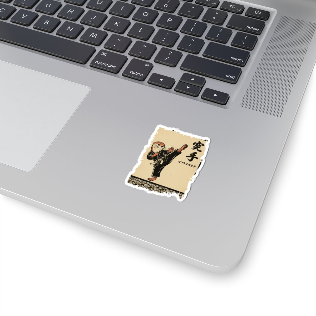 Laptop with a sticker of a martial artist on a beige background