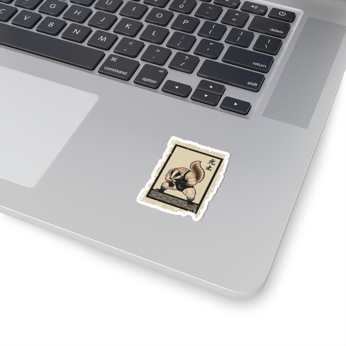 Laptop with a sticker of a raccoon on a white surface