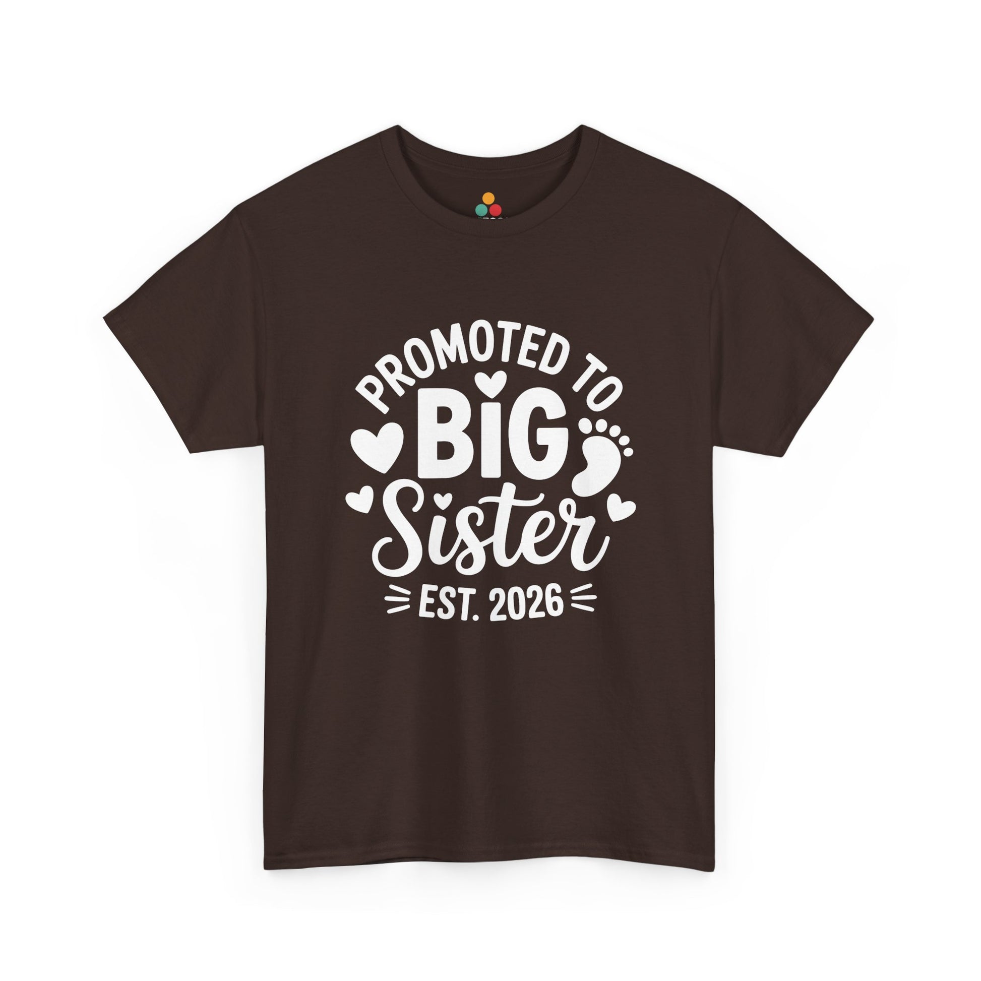 Promoted To Big Sister Est 2026 T-Shirt – Big Sister Gift | TEEZOCA 