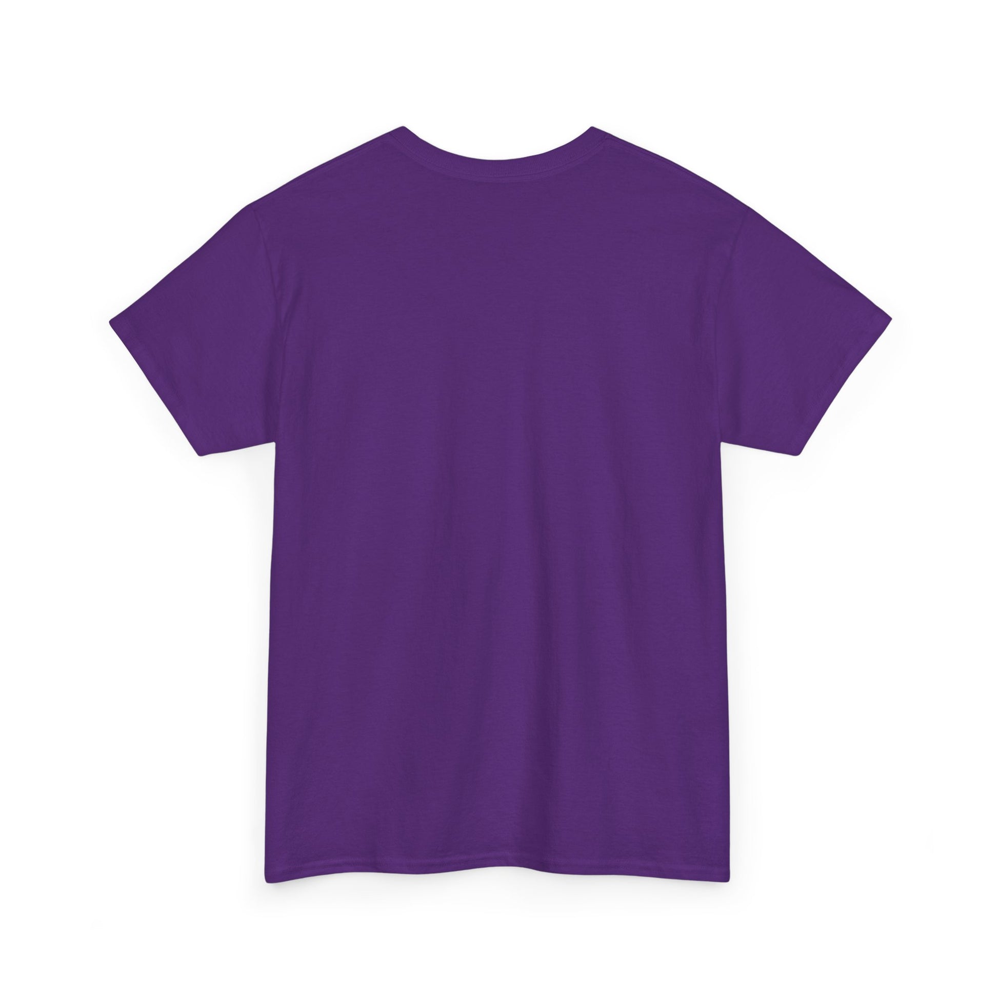 Summer Vibes Cat Graphic Unisex T-shirt for Beach Mood Style | TEEZOCA 
