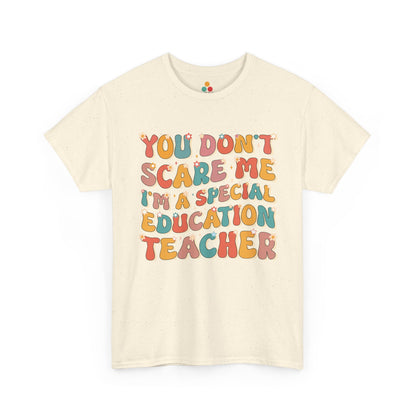 TEEZOCA cream ivory cotton T-shirt showcasing the 70s wavy bubble font SPED teacher layout.