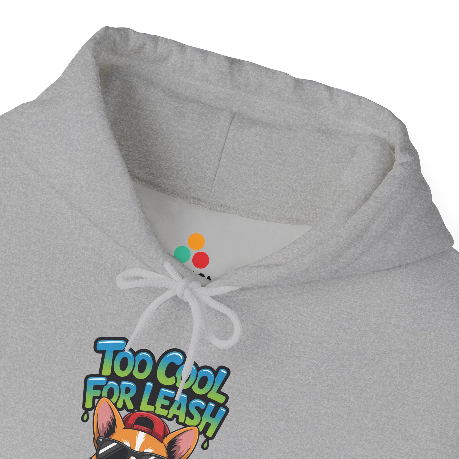 Too Cool For Leash Corgi Graphic Unisex Heavy Blend Hoodie | TEEZOCA 